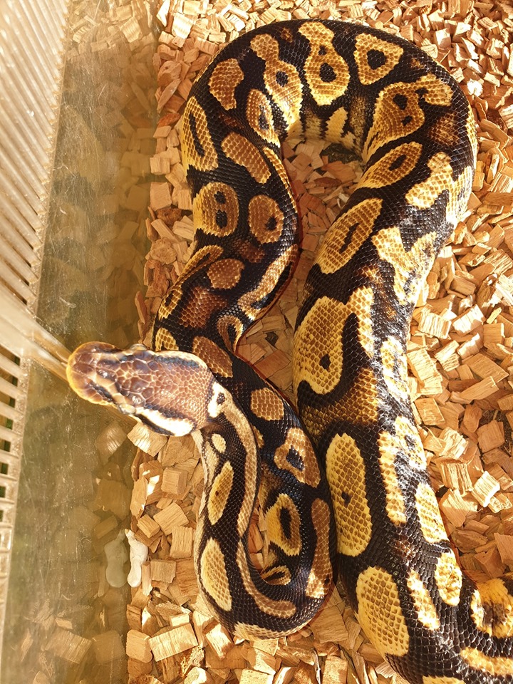 Meet The Animals - Kidz Farm