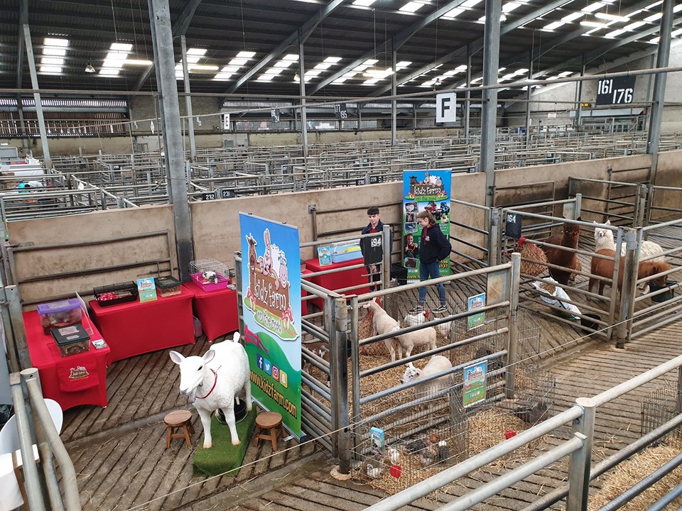 Read more about the article An interesting space today but cant wait to get the gates open for The Ballymena Show. ????