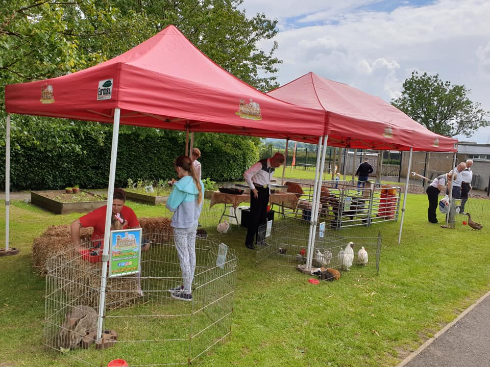 Read more about the article Kidz farm all ready at Burnfoot Community Association… ??