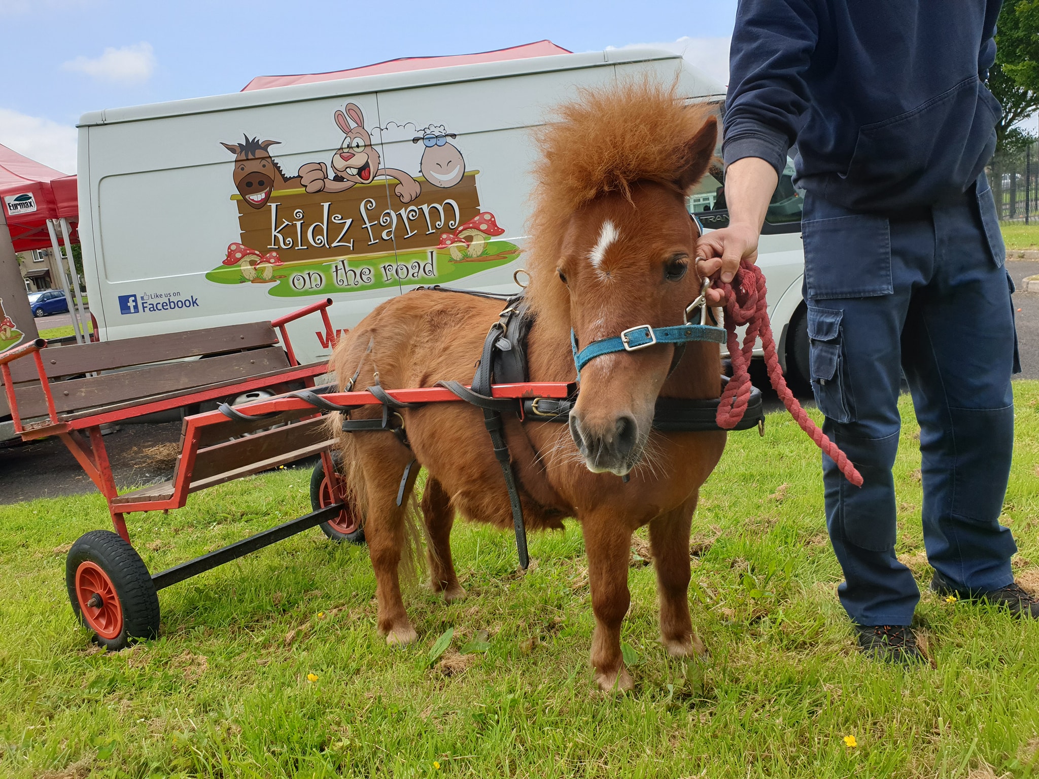 Read more about the article Great pony cart party yesterday despite the damp day.