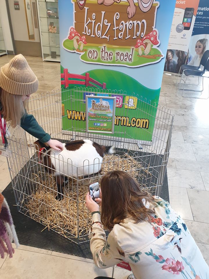 Read more about the article It’s a very simple concept to promote the vote, register to vote and pet a goat.?? All set for the University of Ulster Belfast.