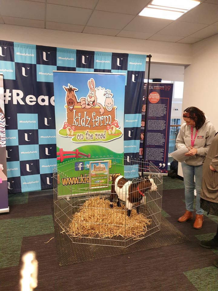 Read more about the article Our next Register to vote and pet lovely Daisy the goat. UUSU Jordandstown.