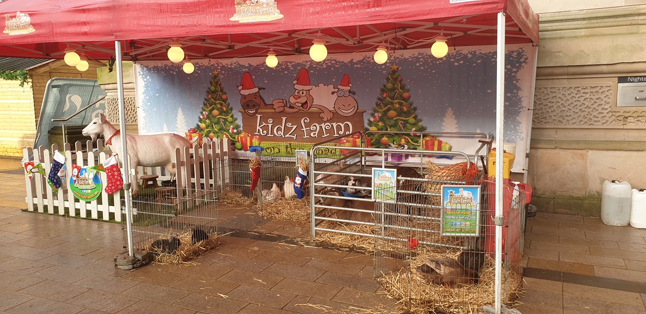 Read more about the article Kidz Farm at Derry Christmas Markets – Day 3