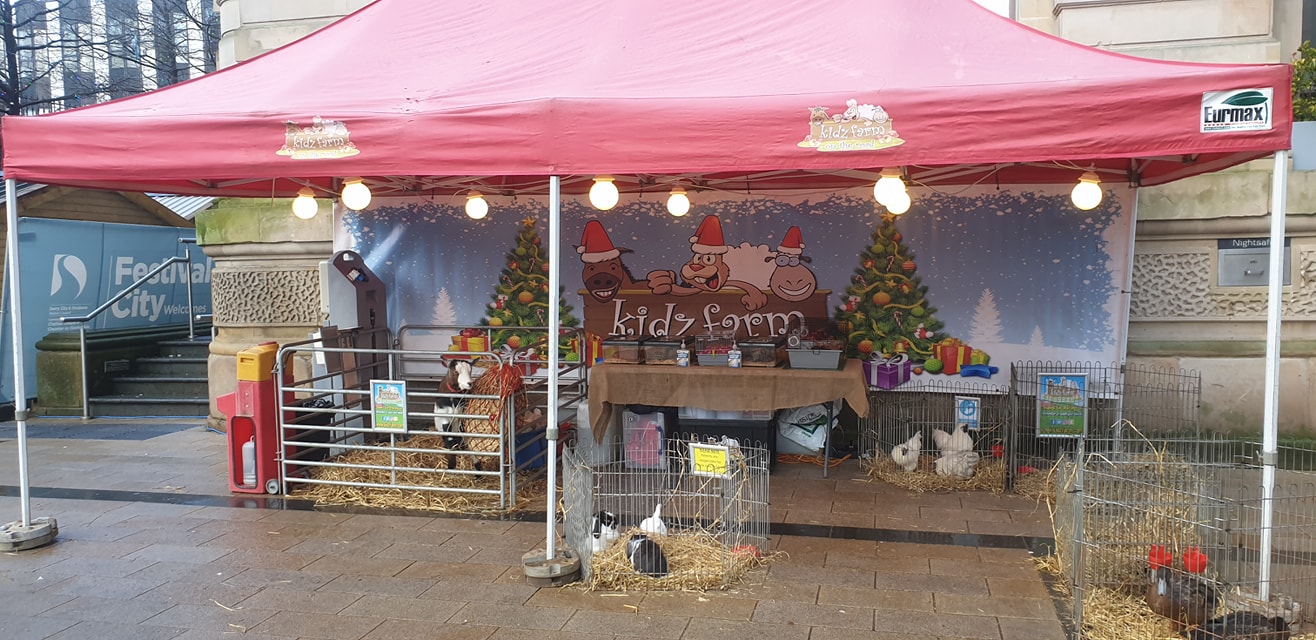 Read more about the article Kidz Farm at Derry Christmas Markets – Day 2